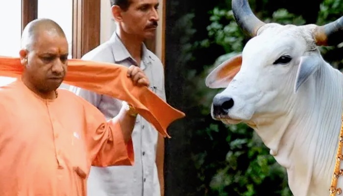 Mulayam राज में Yogi के साथ ऐसा क्या हुआ था कि गाय की आंखों में आंसू आ गये !