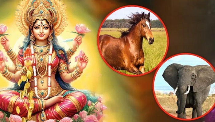 Diwali पर देवी लक्ष्मी किन लोगों से दूर भागती है ? आचार्य Rakesh Chaturvedi जी