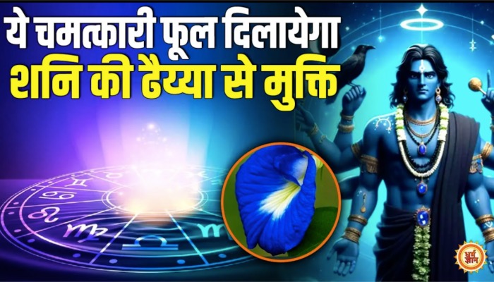 इस चमत्कारी फूल के उपयोग से मिलेगी शनि की साढ़ेसाती और ढैय्या से मुक्ति !
