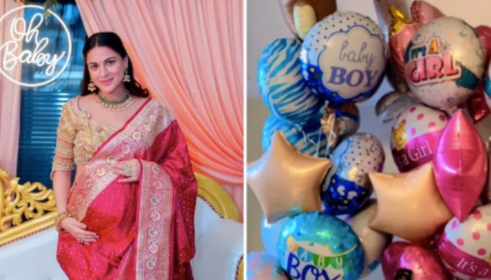 'कुंडली भाग्य' स्टार श्रद्धा आर्या ने जुड़वां बच्चों को दिया जन्म, घर में गूंजी किलकारी