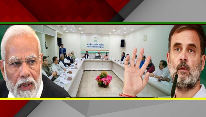 अपनी ही बड़ी नेता को Rahul Gandhi ने दिखाया आईना, अक्ल ठिकाने पर लगा दी