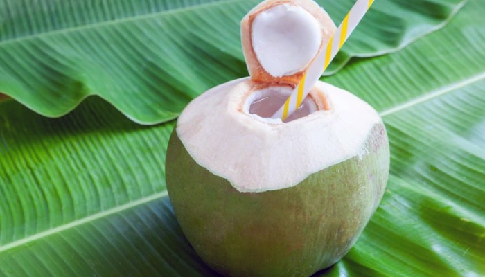 गर्मी में नारियल पानी से पाएं राहत, सेहत के लिए है अमृत समान