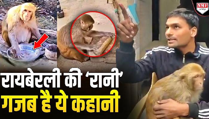बर्तन धोने से रोटी बनाने तक बदंरिया करती है सारे काम, जाने कौन है ‘रानी