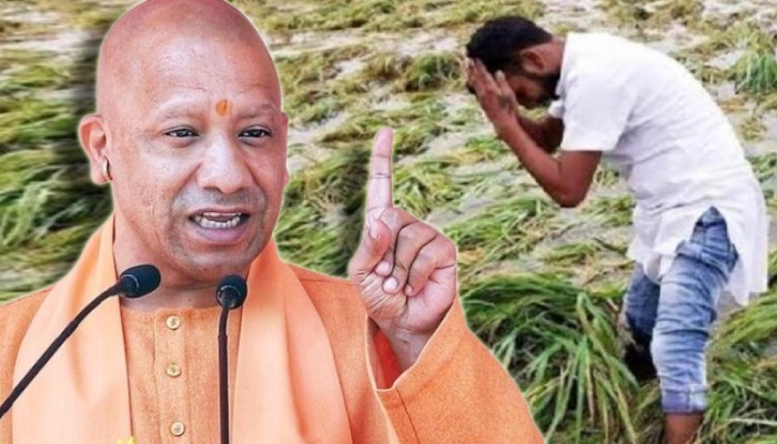 'किसानों को 24 घंटे में दिया जाए मुआवजा', यूपी में आंधी-बारिश से क्षतिगस्त फसलों और जनहानि को लेकर सीएम योगी का सख्त निर्देश
