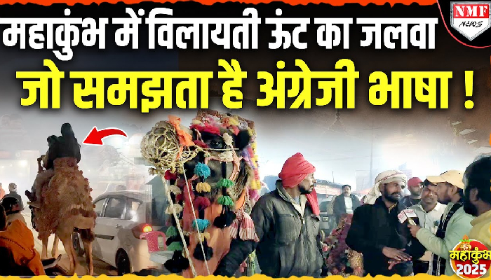 इंग्लिश भाषा समझता है महाकुंभ में पहुंचा ऊंट, Sit Down बोलने से बैठ जाता है !