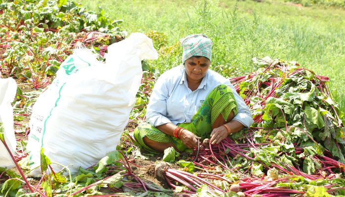 PM Kisan Yojana: 18 वीं क़िस्त के आने का हो गया ऐलान, दशहरा के दिन आएगा किसानों के खाते में 4000 रुपये की राशि