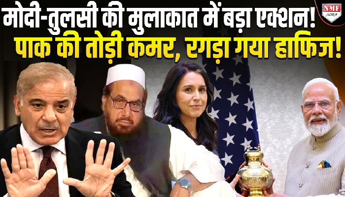 NSA अजीत डोभाल के बाद पीएम मोदी से मिलीं तुलसी गबार्ड, आतंकवाद पर दे दिया बड़ा बयान