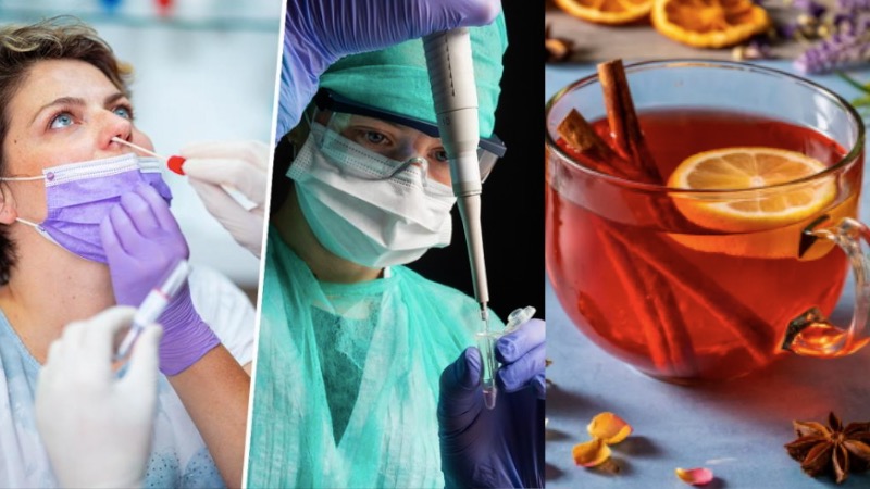 Covid-19 के बढ़ते केसों में क्या फिर से शुरू करें काढ़ा और गिलोय? जानिए क्या कहते हैं एक्सपर्ट्स