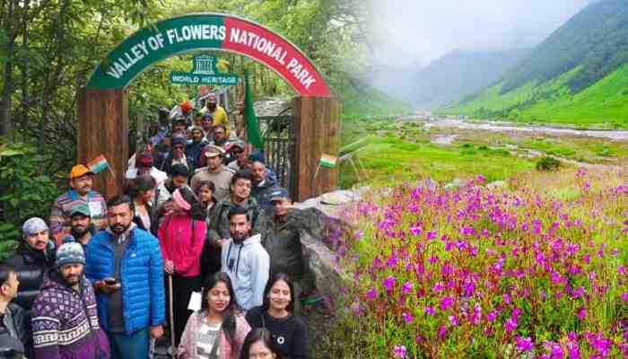 चमोली: पर्यटकों के लिए खुली स्वर्ग सी सजी फूलों की घाटी, हर 15 दिन में करती है नया शृंगार