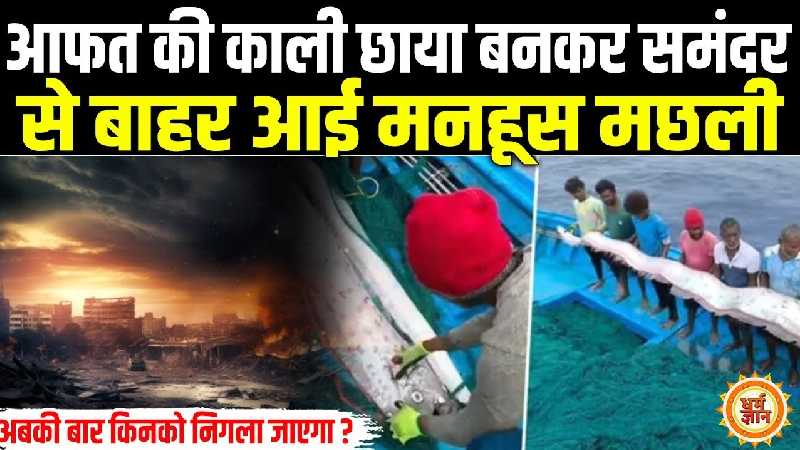 समंदर से बाहर आई दुनिया में मनहूसियत फैलने वाली मछली !