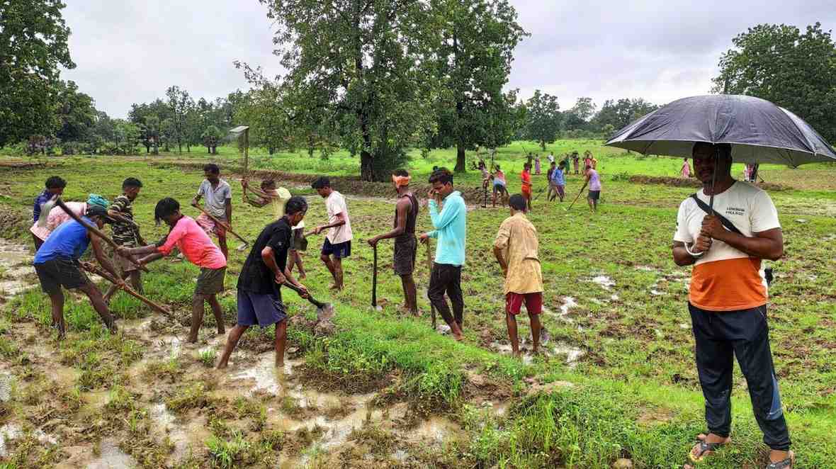 मानसून बना वरदान: कृषि से जुड़े उद्योगों की कमाई में दो अंकों की वृद्धि की संभावना