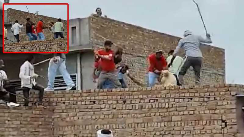 सूरतगढ़ के ज़मीन विवाद को लेकर एक ही परिवार के लोगों में जमकर चले लाठी-डंडे, सामने आया Video