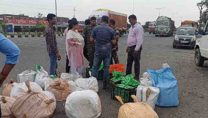 झारखंड:  मिलावट खोरों के खिलाफ खाद्य सुरक्षा विभाग और पुलिस ने की बड़ी कार्रवाई, नकली पनीर और खोया जब्त