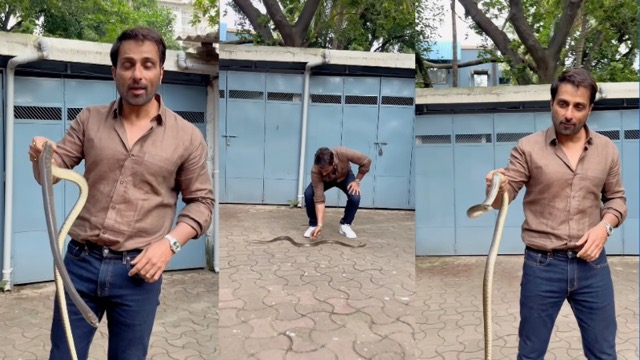 अरे बाप रें! सोनू सूद की सोसायटी में घुसा सांप, एक्टर ने हाथ में लेकर किया ऐसा काम, फैंस हुए दंग