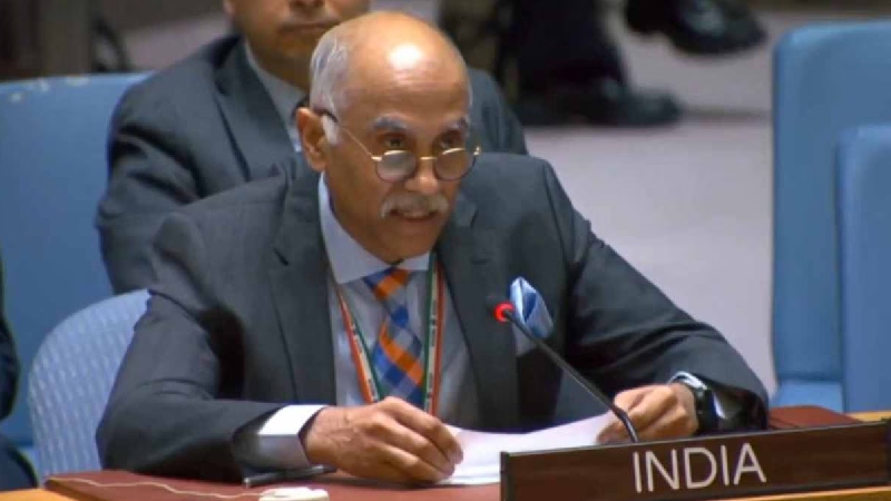 'आतंक का गढ़, कट्टरता में डूबा और उधारी पर टिका मुल्क...', भारत ने UNSC में पाकिस्तान को फिर बता दी उसकी औकात
