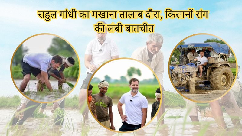 बिहार में मखाना किसानों के साथ तालाब में उतरे राहुल गांधी, जानीं उनकी समस्याएं