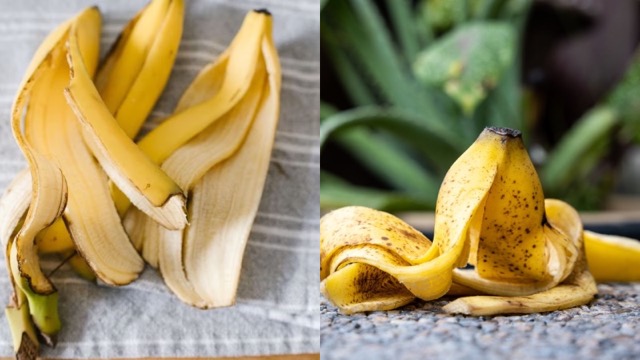 Benefits of Banana Peels: कचरा समझकर जिन केले के छिलकों को फेंक देते हैं आप, उनके फायदे जान रह जाएंगे हैरान