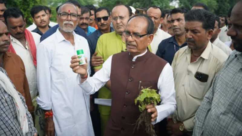 लाइसेंस रद्द, उत्पादन बंद, बिक्री पर रोक...किसान की फसल हुई ख़राब, कृषि मंत्री शिवराज सिंह चौहान का ऐतिहासिक और सख़्त फैसला