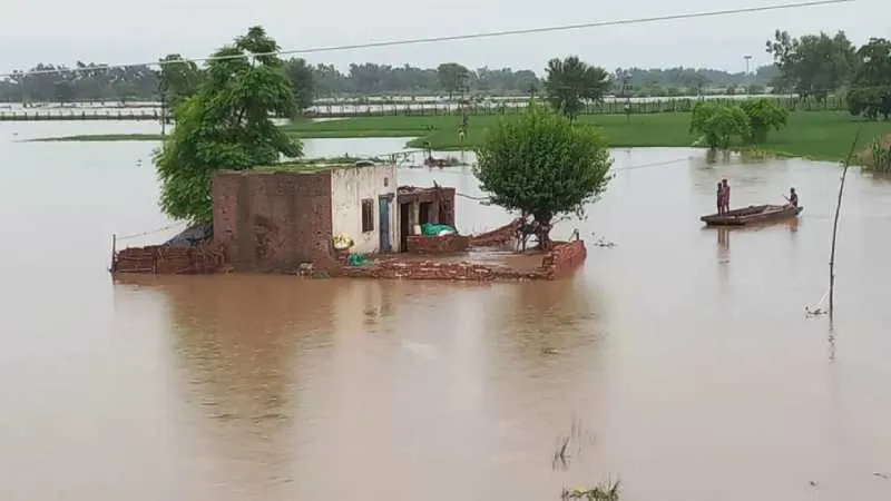पंजाब में बाढ़ का कहर: 10 जिलों के 900 गांव डूबे, हालात बेकाबू