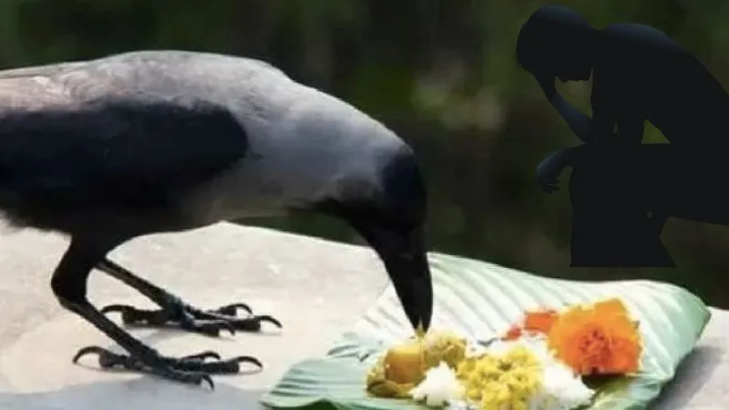 पारिवारिक क्लेश, आर्थिक तंगी और घर में कोई न कोई रहता है बीमार, तो हो सकता है पितृ दोष का असर, जानें पितरों की शांति के उपाय