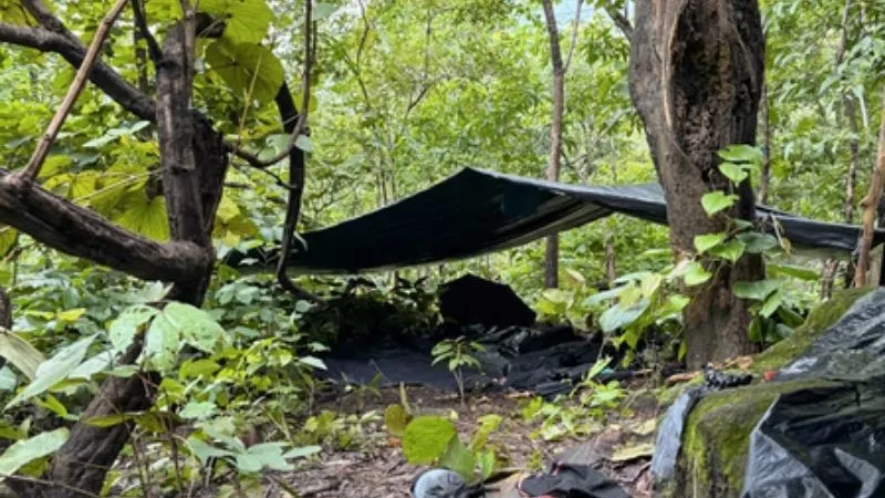 झारखंड में पुलिस और सुरक्षा बलों को बड़ी सफलता, मुठभेड़ में पांच-पांच लाख के दो इनामी नक्सली समेत तीन ढेर