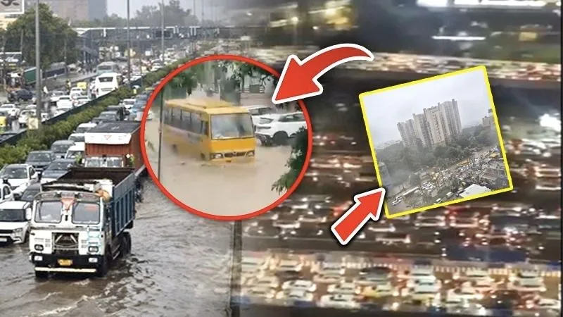 मिलेनियम सिटी की सड़कें बनीं 'समंदर'! 20 किलोमीटर लंबा जाम, स्कूल बंद, कंपनियों में वर्क फ्रॉम होम... भारी बारिश से गुरुग्राम बेहाल