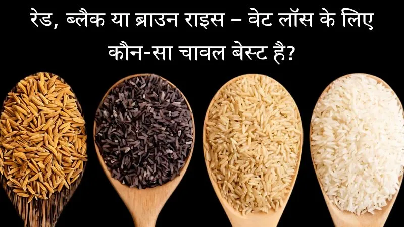 रेड, ब्लैक या ब्राउन राइस... कौन-सा चावल आपके शरीर के फैट को घटाने में करेगा सबसे ज्यादा मदद? जानें एक्सपर्ट्स ने क्या कहा
