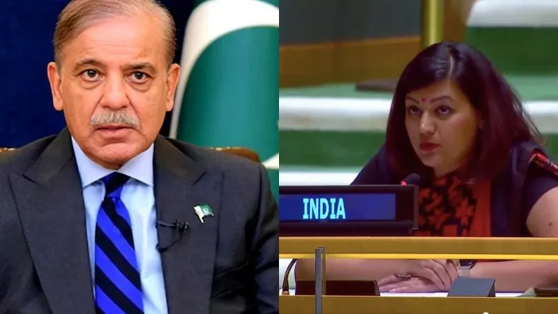 'जले हैंगर, टूटे एयरबेस को 'जीत' मान रहे शहबाज…', UNGA के मंच पर एक बार फिर भारत ने पाकिस्तान को जमकर लताड़ा