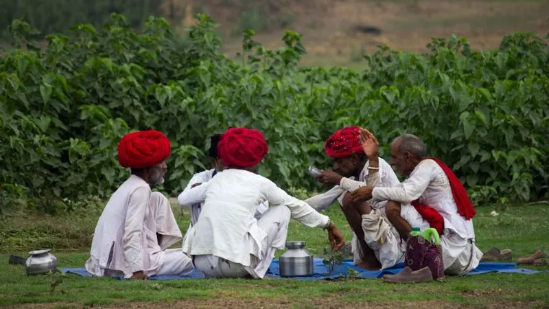 PM Kisan Yojana: 21वीं किस्त पर बड़ा अपडेट, किसानों को दिवाली से पहले मिल सकती है खुशखबरी