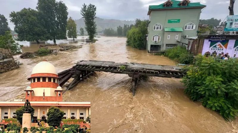 'पेड़ कटाई जम्मू, पंजाब, हिमाचल में आपदा की बड़ी वजह', सुप्रीम कोर्ट ने नोटिस देते हुए राज्यों से मांगा जवाब