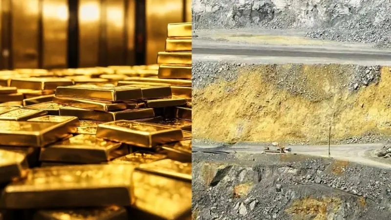 बिहार में मिला कुबेर का खजाना...इन 3 जिलों में दबा है 222 मिलियन टन से ज्यादा सोना, चींटियों ने दिया सुराग!