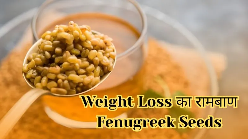 Fenugreek Seeds Benefits : मोटापे से छुटकारा पाने के लिए पिएं मेथी दाना का पानी, दिखेगा फर्क कुछ ही हफ्तों में
