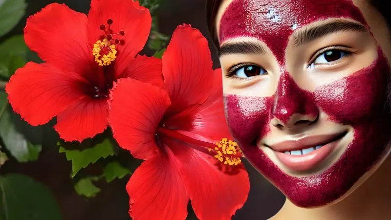 Hibiscus के फूल से बनाएं नेचुरल फेस पैक, डल स्किन को बनाएं ग्लोइंग और पाएं नेचुरल ब्राइटनेस बिना किसी केमिकल के