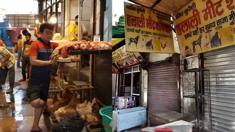 जयपुर में दिवाली पर कड़ा नियम: मीट की दुकानें बंद, उल्लंघन पर भारी जुर्माना और लाइसेंस रद्दीकरण का मेयर का आदेश