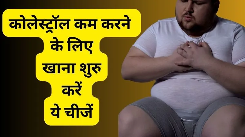 लहसुन से लेकर आंवला तक, कोलेस्ट्रॉल कम करने के लिए खाना शुरु करें ये चीजें, एकदम फिट हो जाओगे