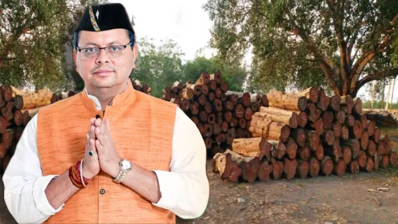 वियतनाम मॉडल पर काम करेगी उत्तराखंड सरकार, राज्य में लकड़ी उद्योग को बढ़ावा देने के लिए बड़ी पहल