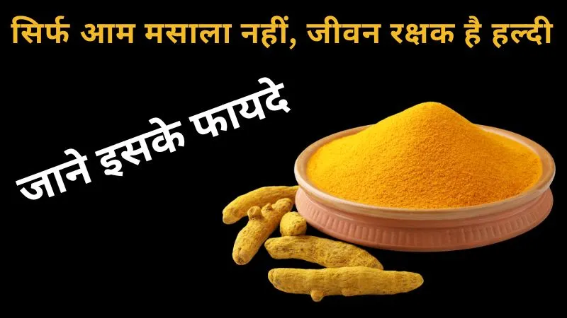 दिल को रखे स्वस्थ, पाचन को करे दुरुस्त, सिर्फ आम मसाला नहीं, जीवन रक्षक है हल्दी