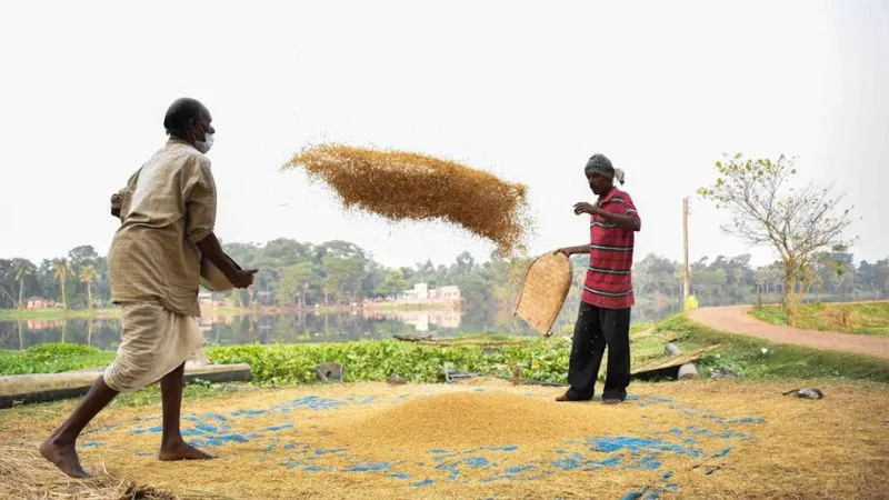 PM Kisan Yojana: दिवाली से पहले आएगी 2000 रुपये की किश्त? जानें किन किसानों को नहीं मिलेगा फायदा