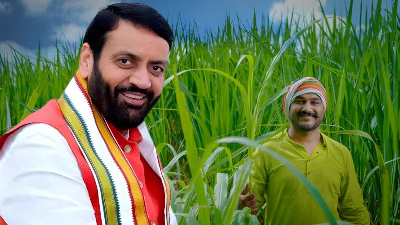 दिवाली के मौके पर हरियाणा सरकार का किसानों को तोहफा, CM सैनी ने बढ़ाया गन्ने का रेट, अन्नदाताओं में उत्साह