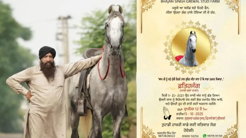अपने प्यारे घोड़े की मौत से दुखी मालिक ने रखा भोग समागम, कार्ड छपवाकर हजारों लोगों को बुलाया, पढ़िए दिलचस्प कहानी?