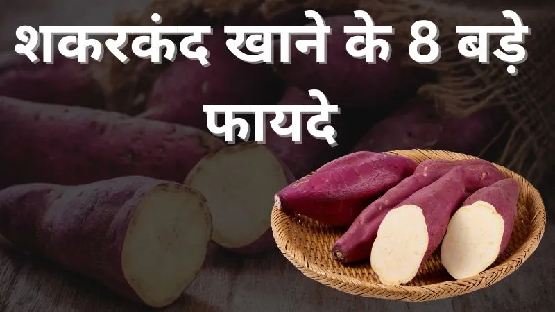वजन घटाने से दिल को स्वस्थ रखने तक, सर्दीं के मौसम में वरदान है शकरकंद, जाने इसके फायदे