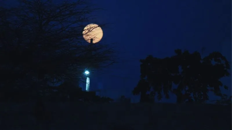 कब है शरद पूर्णिमा? किन 6 चीजों के दान से बदलेगी किस्मत! जानें स्नान का शुभ मुहूर्त