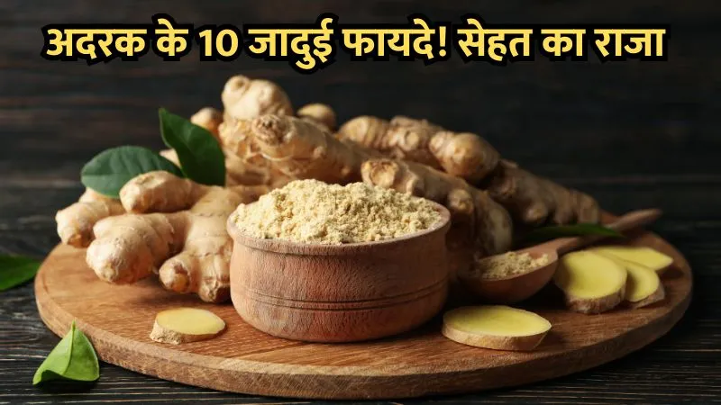 Adrak : रसोई का राजा और सेहत का सुपरफूड, जानिए इसके चमत्कारी फायदे और उपयोग