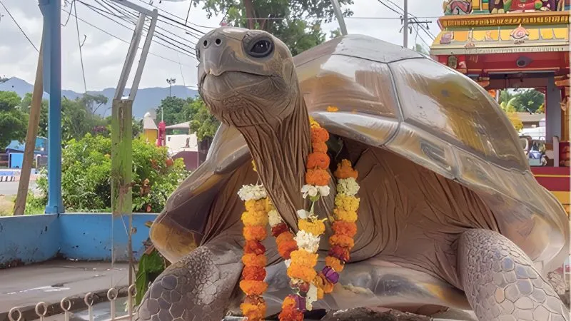 श्री कुर्मनाथ स्वामी मंदिर में कछुए के रूप में क्यों होती है भगवान विष्णु की पूजा?
