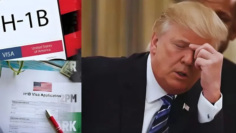 भारतीय हुनर पर अमेरिकी सांसदों का भरोसा... ट्रंप से की H-1B वीजा प्रतिबंध हटाने की मांग, कहा- AI के लिए चाहिए हिंदुस्तानी दिमाग