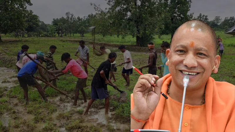 योगी सरकार का किसानों को तोहफा, बारिश प्रभावितों को मदद, गन्ने के दाम में बढ़ोतरी