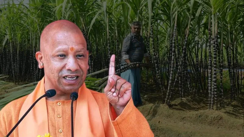 CM योगी का बड़ा फैसला, अब गन्ना किसानों से नहीं लिया जाएगा लोडिंग-अनलोडिंग चार्ज