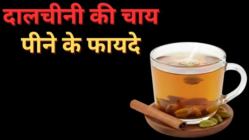 डायबिटीज़ से लेकर हृदय रोग का खतरा होता कम, बेहद फायदेमंद है दालचीनी की चाय, जानें बनाने का सही तरीका