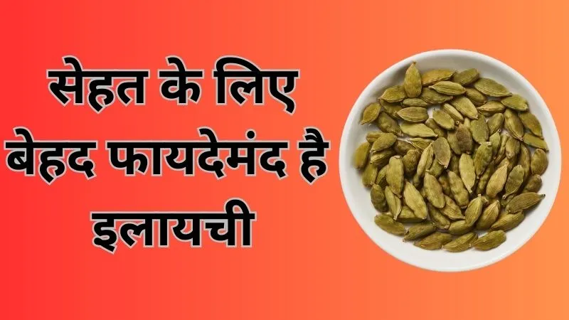 कंट्रोल में रहेगा ब्लड प्रेशर, पाचन भी रहेगा दुरुस्त, सेहत के लिए बेहद फायदेमंद है इलायची