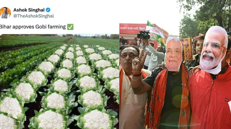 बिहार चुनाव… जीत के बाद वायरल हुआ ‘गोभी के खेत’ वाला पोस्ट, आखिर BJP मंत्री के इस पोस्ट पर क्यों मचा हंगामा?